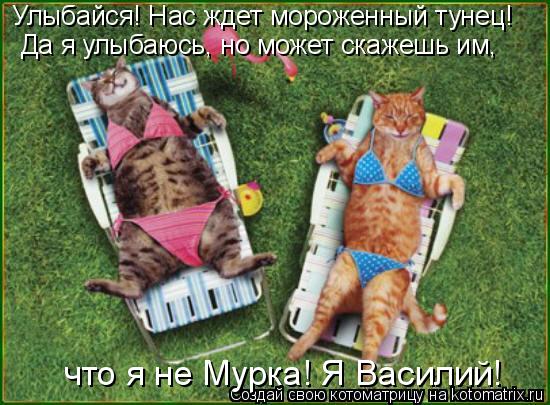 Котоматрица: Улыбайся! Нас ждет мороженный тунец! Да я улыбаюсь, но может скажешь им,   что я не Мурка! Я Василий!