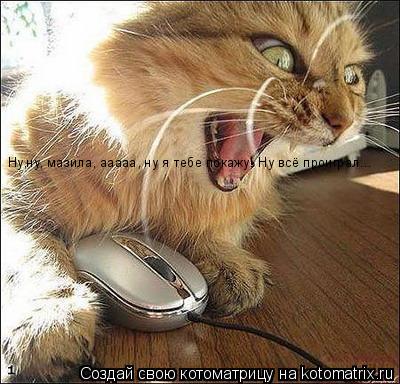 Котоматрица: Ну,ну, мазила, ааааа, ну я тебе покажу! Ну всё проиграл...