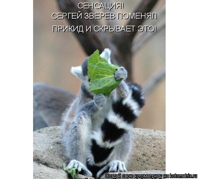 Котоматрица: СЕНСАЦИЯ! СЕРГЕЙ ЗВЕРЕВ ПОМЕНЯЛ ПРИКИД И СКРЫВАЕТ ЭТО!