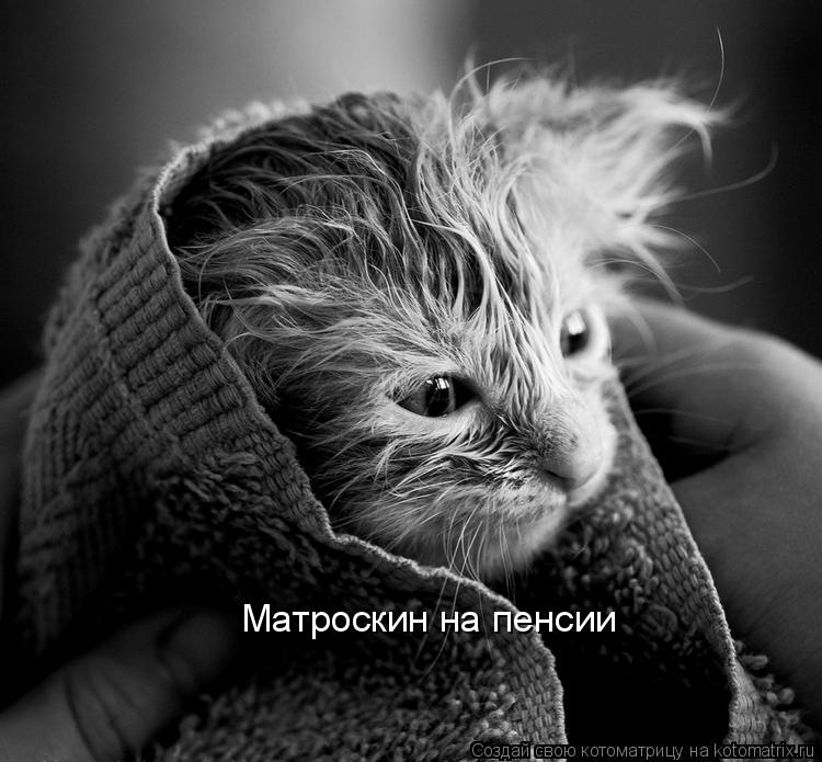 Котоматрица: Матроскин на пенсии
