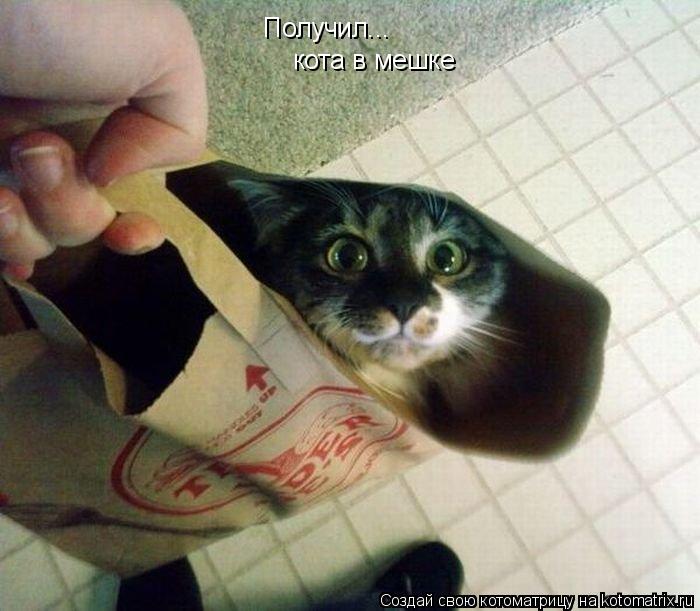 Котоматрица: Получил... кота в мешке