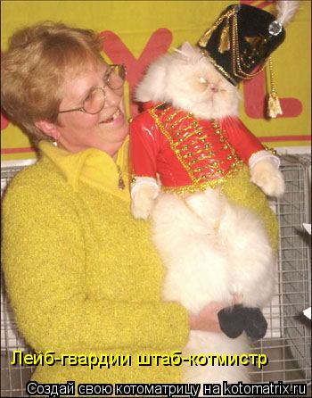 Котоматрица: Лейб-гвардии штаб-котмистр