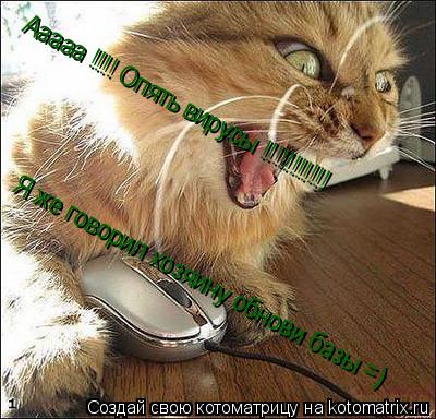 Котоматрица: Ааааа !!!! Опять вирусы !!!!!!!!!!!  Я же говорил хозяину обнови базы =)