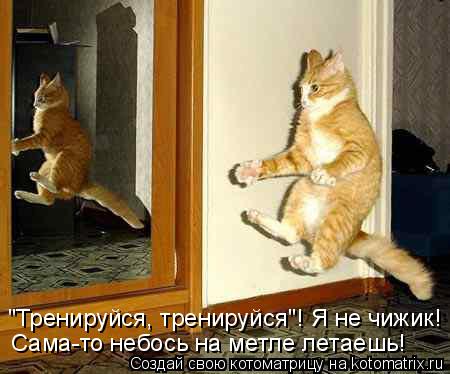 Котоматрица: "Тренируйся, тренируйся"! Я не чижик! Сама-то небось на метле летаешь!