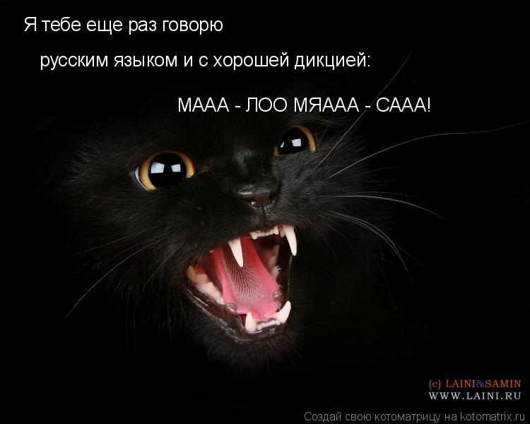 Котоматрица: Я тебе еще раз говорю русским языком и с хорошей дикцией: МААА - ЛОО МЯААА - СААА!