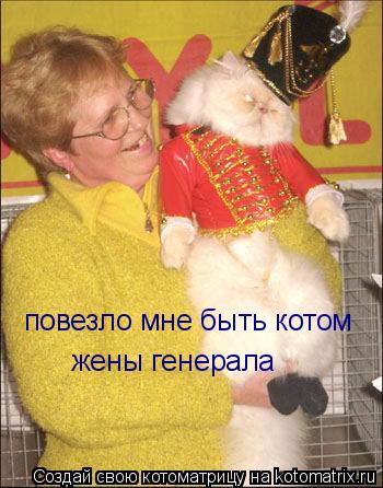 Котоматрица: повезло мне быть котом  жены генерала