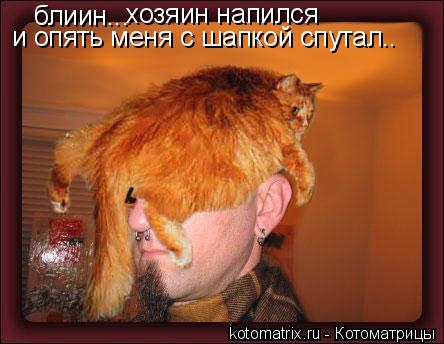 Котоматрица: блиин... хозяин напился  и опять меня с шапкой спутал..