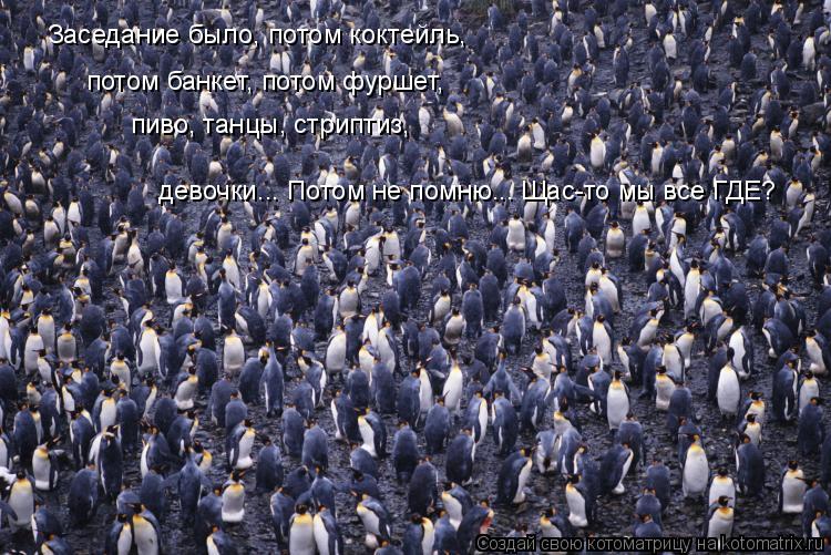 Котоматрица: Заседание было, потом коктейль, потом банкет, потом фуршет, пиво, танцы, стриптиз, девочки... Потом не помню... Щас-то мы все ГДЕ?