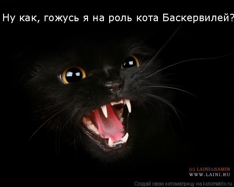Котоматрица: Ну как, гожусь я на роль кота Баскервилей?