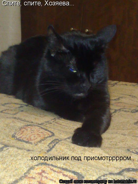 Котоматрица: Спите, спите, Хозяева... ..холодильник под присмотрррром..