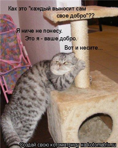 Котоматрица: Как это "каждый выносит сам свое добро"?? Я ниче не понесу. Это я - ваше добро. Вот и несите...