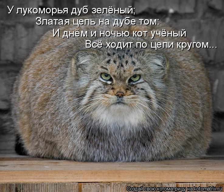 Открытка. Синие коты. У Лукоморья кот ученый