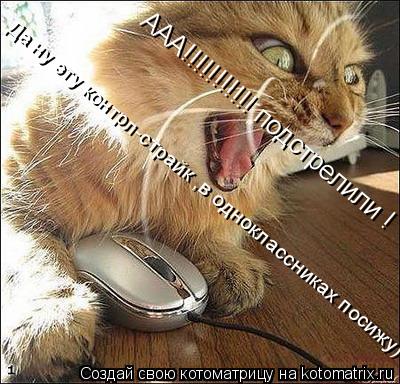 Котоматрица: ААА!!!!!!!!!!! подстрелили !  Да ну эту контрл-страйк ,в одноклассниках посижу)