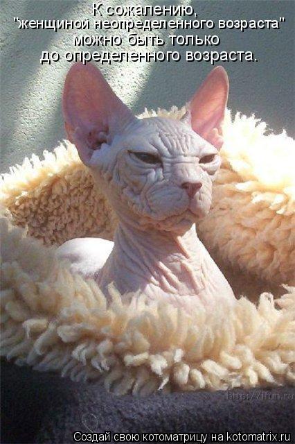 Котоматрица: К сожалению, "женщиной неопределенного возраста" можно быть только до определенного возраста.