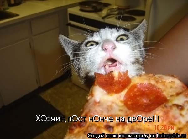 Котоматрица: ХОзяин,пОст нОнче на двОре!!!