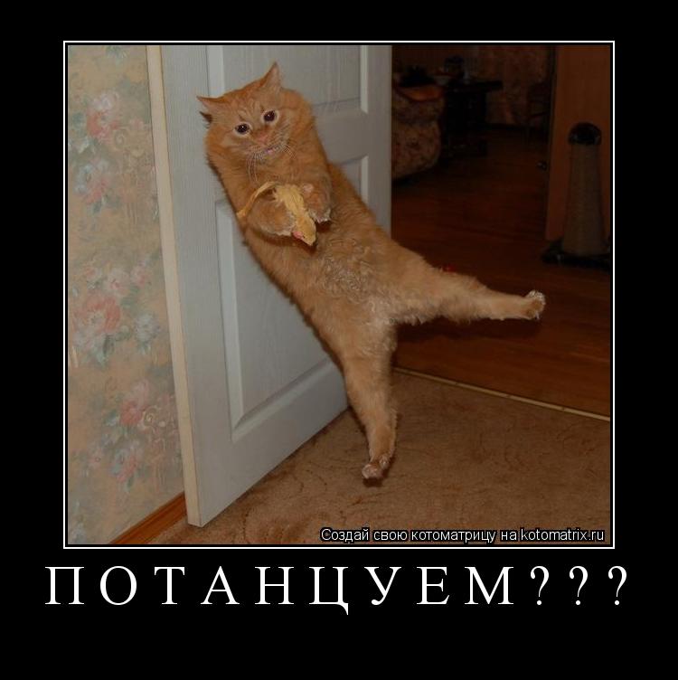 Котоматрица: Потанцуем??? 