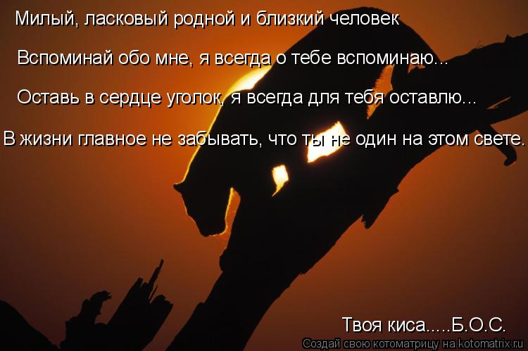 Костюмированные поздравления Короткие пожелания на Новый 2018 год собаки в стихах и прозе