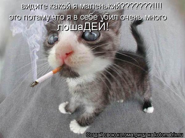 видите какой я маленький???????!!!! это потаму что я в себе убил очень много лошаДЕЙ!... Котоматрица: видите какой я маленький???????!!!! это потаму что я в себе убил очень много лошаДЕЙ!