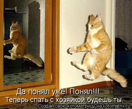 Котоматрица: Да понял уже! Понял!!!  Теперь спать с хозяйкой будешь ты.