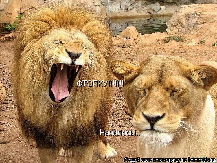 Началось!..... .....ФТОПКУ!!!!!!!... Котоматрица: Началось!..... .....ФТОПКУ!!!!!!!
