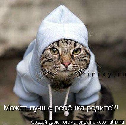 Котоматрица: Может лучше ребёнка родите?!