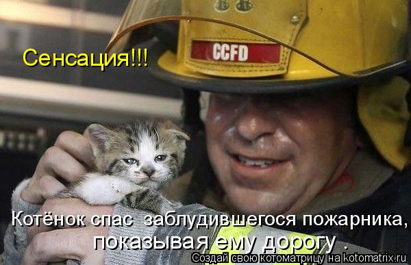 Котоматрица: Сенсация!!! Котёнок спас  заблудившегося пожарника,   показывая ему дорогу .
