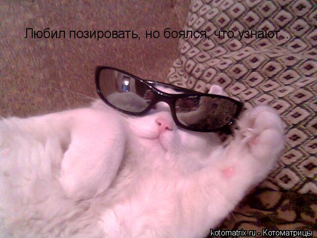 Котоматрица: Любил позировать, но боялся, что узнают...