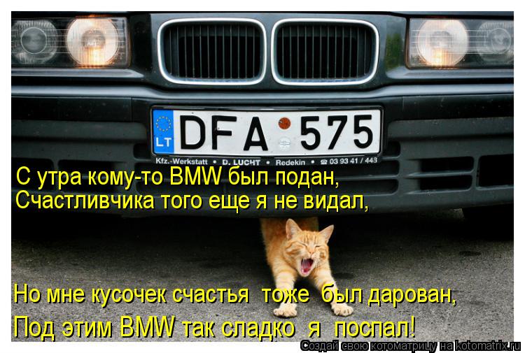 Котоматрица: Счастливчика того еще я не видал, С утра кому-то BMW был подан, Но мне кусочек счастья  тоже  был дарован, Под этим BMW так сладко  я  поспал!