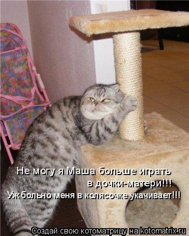 Котоматрица: Не могу я Маша больше играть  в дочки-матери!!! Уж больно меня в колясочке укачивает!!!