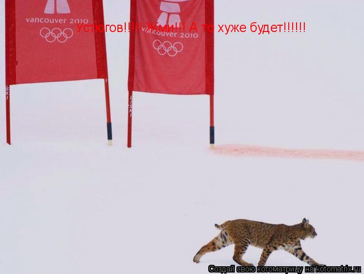 Котоматрица: Устюгов!!!!! Жми!!! А то хуже будет!!!!!!