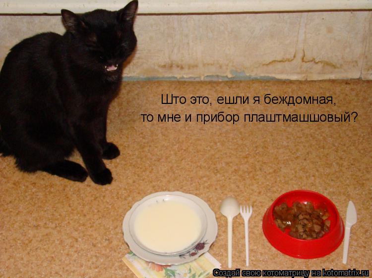 Котоматрица: Што это, ешли я беждомная,  то мне и прибор плаштмашшовый?