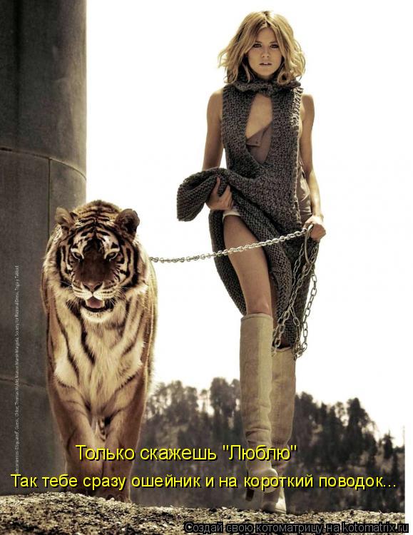 Котоматрица: Только скажешь "Люблю" Так тебе сразу ошейник и на короткий поводок...