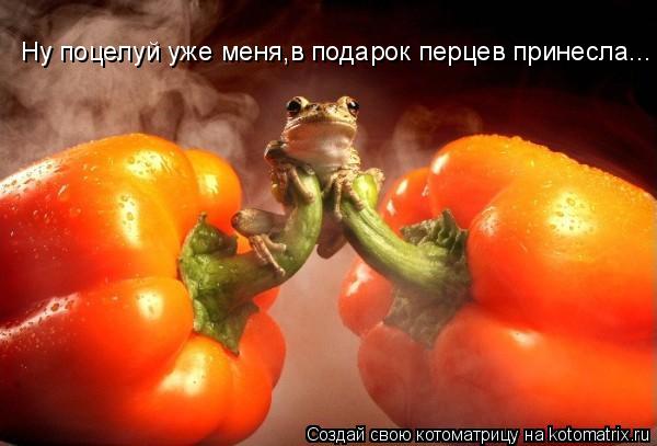 Ну поцелуй уже меня,в подарок перцев принесла...... Котоматрица: Ну поцелуй уже меня,в подарок перцев принесла...