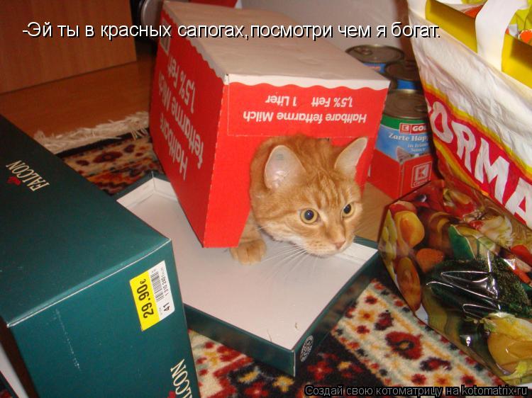 -Эй ты в красных сапогах,посмотри чем я богат.... Котоматрица: -Эй ты в красных сапогах,посмотри чем я богат.