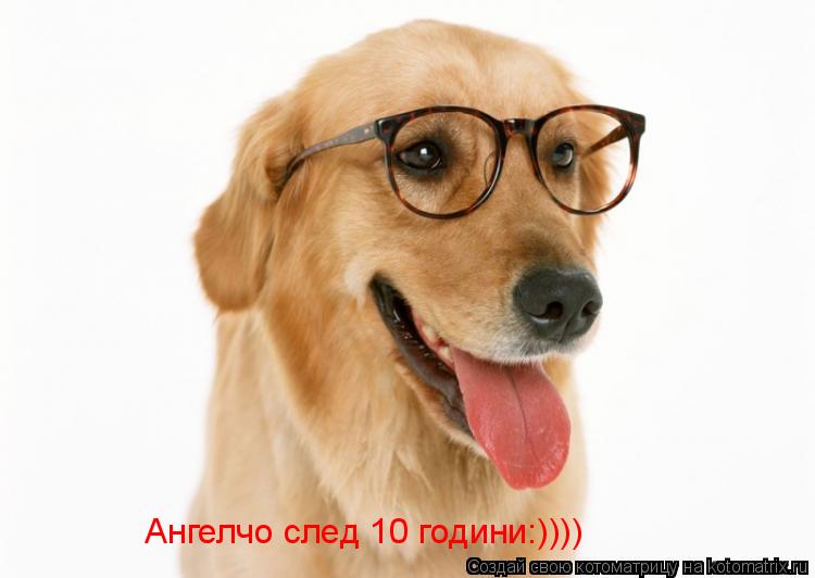 Ангелчо след 10 години:))))... Котоматрица: Ангелчо след 10 години:))))