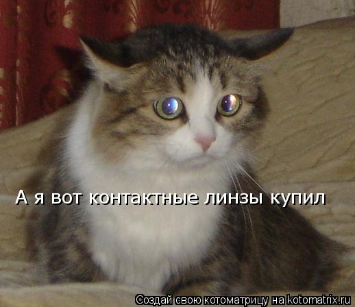 А я вот контактные линзы купил... Котоматрица: А я вот контактные линзы купил