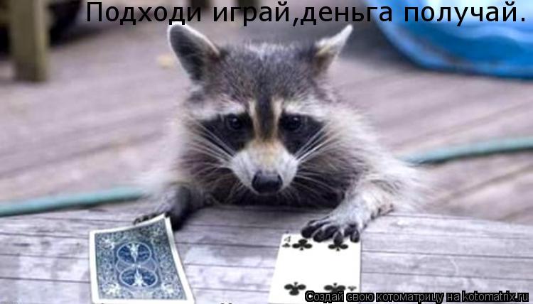 Подходи играй,деньга получай.... Котоматрица: Подходи играй,деньга получай.