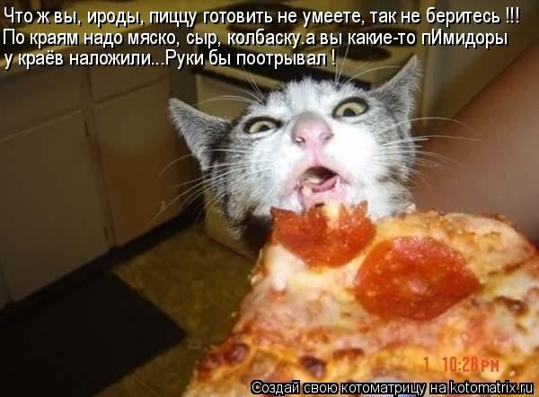 Что ж вы, ироды, пиццу готовить не умеете, так не беритесь !!! у краёв наложили...Руки бы поотрывал !... Котоматрица: Что ж вы, ироды, пиццу готовить не умеете, так не беритесь !!! у краёв наложили...Руки бы поотрывал ! По краям надо мяско, сыр, колбаску…а вы как