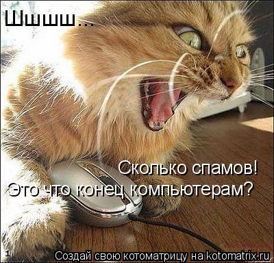 Шшшш... Сколько спамов! Это что конец компьютерам?... Котоматрица: Шшшш... Сколько спамов! Это что конец компьютерам?