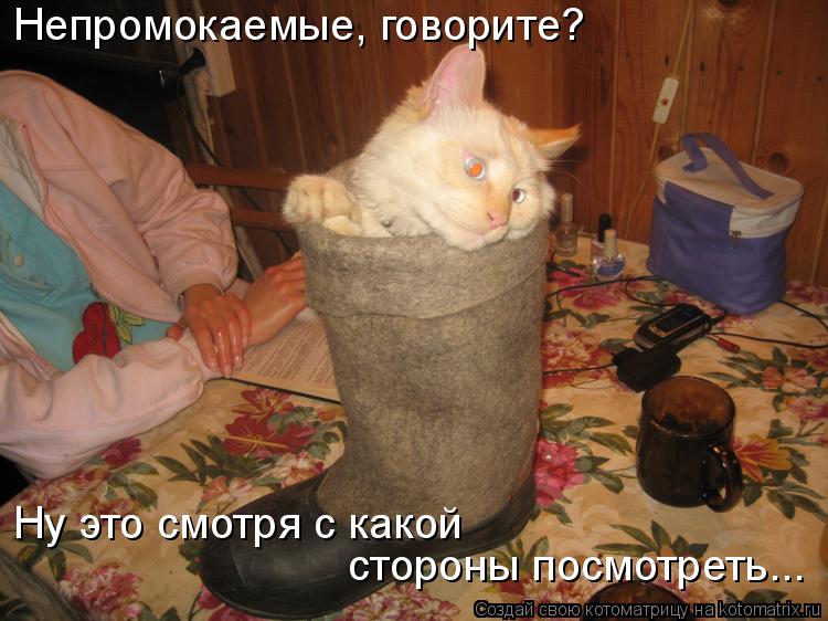 Непромокаемые, говорите? Ну это смотря с какой стороны посмотреть...... Котоматрица: Непромокаемые, говорите? Ну это смотря с какой стороны посмотреть...