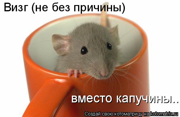 Котоматрица: Визг (не без причины)  вместо капучины...