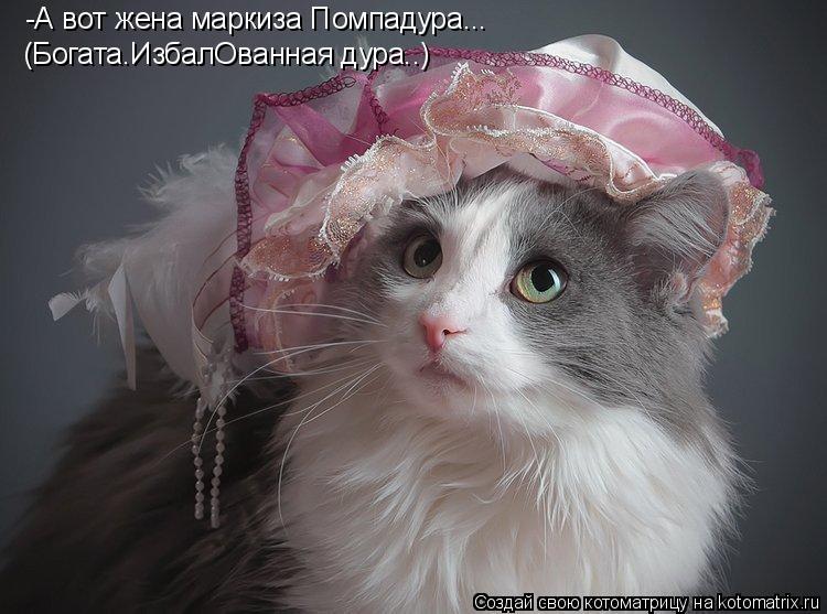 -А вот жена маркиза Помпадура... (Богата.ИзбалОванная дура..)... Котоматрица: -А вот жена маркиза Помпадура... (Богата.ИзбалОванная дура..)