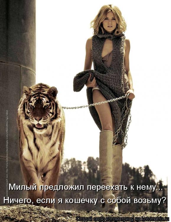 Котоматрица: Милый предложил переехать к нему... Ничего, если я кошечку с собой возьму?