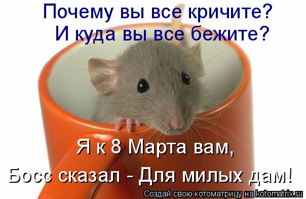 Почему вы все кричите? И куда вы все бежите? Я к 8 Марта вам, Босс сказал - Для милых дам!... Котоматрица: Почему вы все кричите? И куда вы все бежите? Я к 8 Марта вам, Босс сказал - Для милых дам!