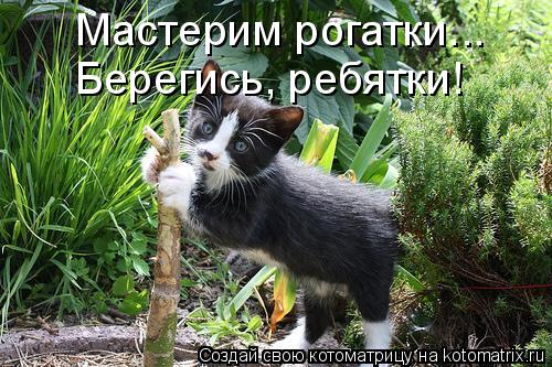 Мастерим рогатки... Берегись, ребятки!... Котоматрица: Мастерим рогатки... Берегись, ребятки!