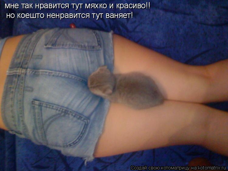 мне так нравится тут мяхко и красиво!! но коешто ненравится тут ваняет!... Котоматрица: мне так нравится тут мяхко и красиво!! но коешто ненравится тут ваняет!