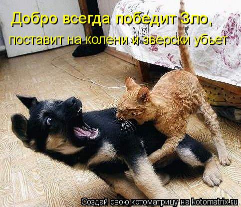 Добро всегда победит Зло, поставит на колени и зверски убьет... Котоматрица: Добро всегда победит Зло, поставит на колени и зверски убьет