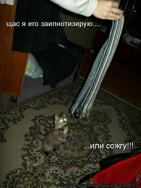 щас я его заипнотизирую.... ...или сожгу!!!... Котоматрица: щас я его заипнотизирую.... ...или сожгу!!!