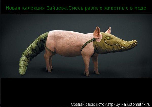 Новая калекция Зайцева.Смесь разных животных в моде.... Котоматрица: Новая калекция Зайцева.Смесь разных животных в моде.