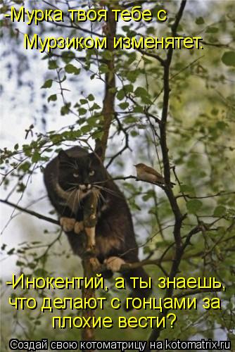 -Мурка твоя тебе с Мурзиком изменятет. -Инокентий, а ты знаешь, что делают с гонцами за плохие вести... Котоматрица: -Мурка твоя тебе с Мурзиком изменятет. -Инокентий, а ты знаешь, что делают с гонцами за плохие вести?